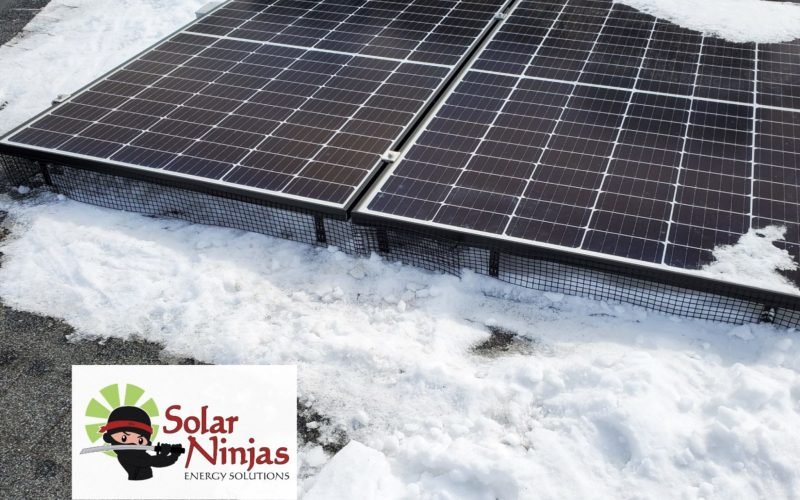 critter guard on solar panels in alberta